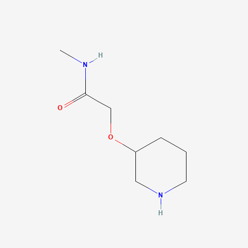 N-methyl-2-piperidin-3-yloxyacetamide (CAS: 1021076-20-9) - Related Chemical Product