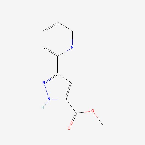 methyl 3-pyridin-2-yl-1H-pyrazole-5-carboxylate (CAS: 1340553-59-4) - Related Chemical Product