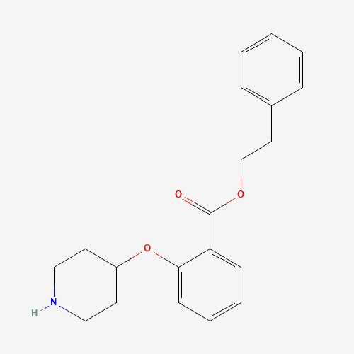 2-phenylethyl 2-piperidin-4-yloxybenzoate (CAS: 1443208-44-3) - Related Chemical Product