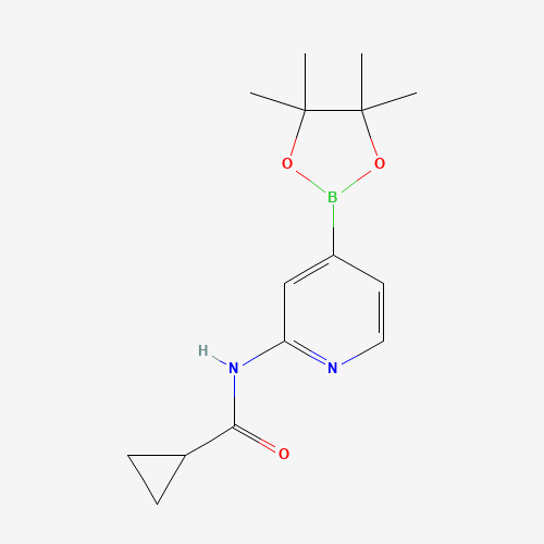 N-[4-(4,4,5,5-tetramethyl-1,3,2-dioxaborolan-2-yl)pyridin-2-yl]cyclopropanecarboxamide (CAS: 1286230-87-2) - Related Chemical Product