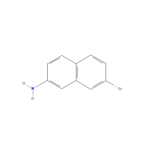 7-bromonaphthalen-2-amine (CAS: 590417-30-4) - Related Chemical Product