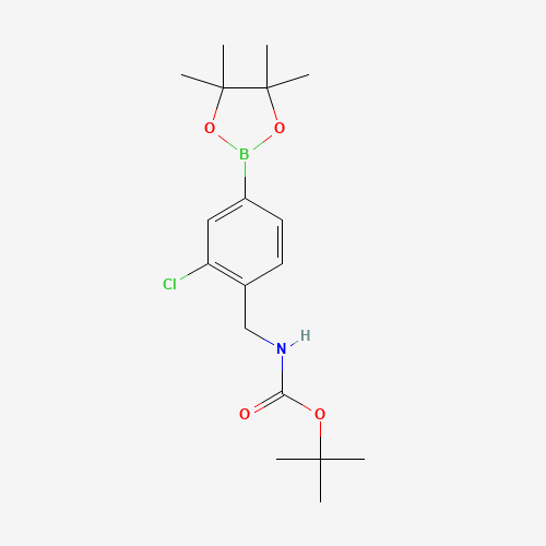 tert-butyl N-[[2-chloro-4-(4,4,5,5-tetramethyl-1,3,2-dioxaborolan-2-yl)phenyl]methyl]carbamate (CAS: 1002309-89-8) - Related Chemical Product