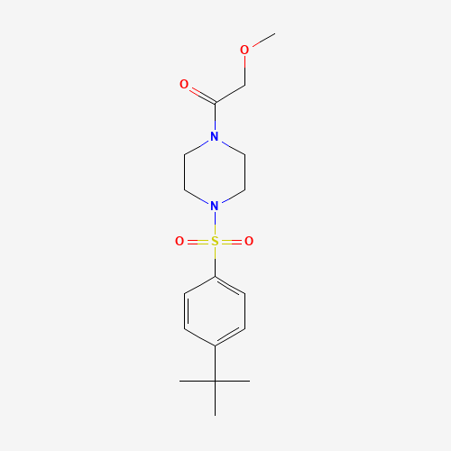 1-[4-(4-tert-butylphenyl)sulfonylpiperazin-1-yl]-2-methoxyethanone (CAS: 951250-15-0) - Related Chemical Product