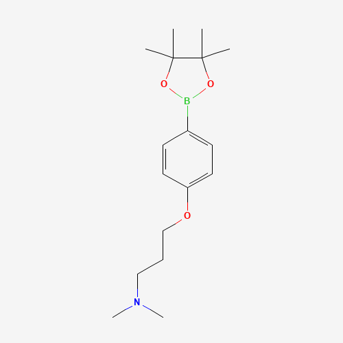 N,N-dimethyl-3-[4-(4,4,5,5-tetramethyl-1,3,2-dioxaborolan-2-yl)phenoxy]propan-1-amine (CAS: 627899-90-5) - Related Chemical Product