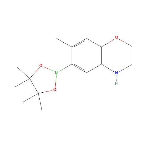 7-methyl-6-(4,4,5,5-tetramethyl-1,3,2-dioxaborolan-2-yl)-3,4-dihydro-2H-1,4-benzoxazine (CAS: 1567214-36-1) - Related Chemical Product