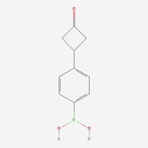 [4-(3-oxocyclobutyl)phenyl]boronic acid (CAS: 254893-03-3) - Related Chemical Product