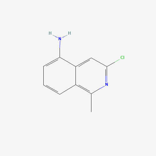 3-chloro-1-methylisoquinolin-5-amine (CAS: 1215767-96-6) - Related Chemical Product