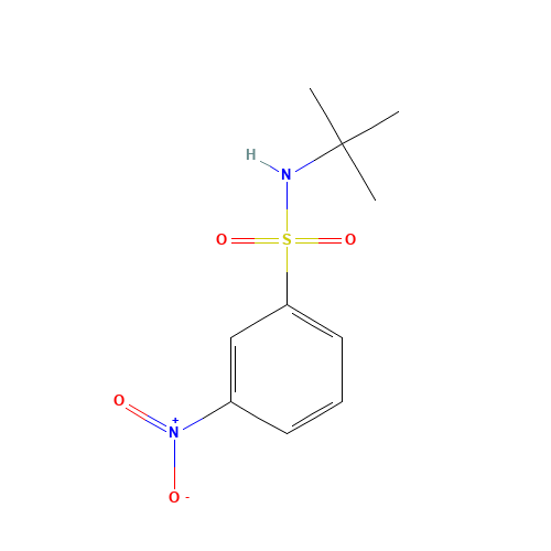 N-tert-butyl-3-nitrobenzenesulfonamide (CAS: 424818-25-7) - Related Chemical Product