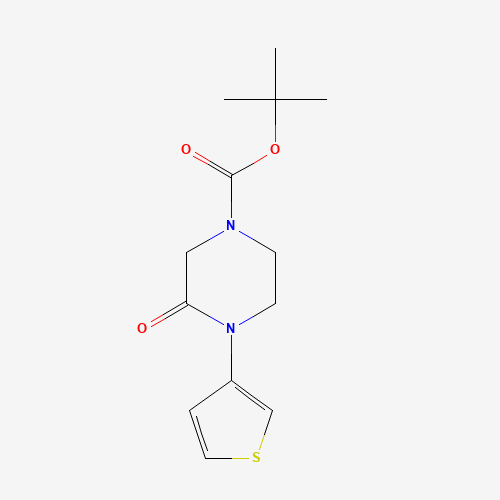 tert-butyl 3-oxo-4-thiophen-3-ylpiperazine-1-carboxylate (CAS: 1154868-67-3) - Related Chemical Product