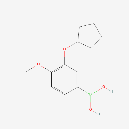 (3-cyclopentyloxy-4-methoxyphenyl)boronic acid (CAS: 159613-21-5) - Related Chemical Product