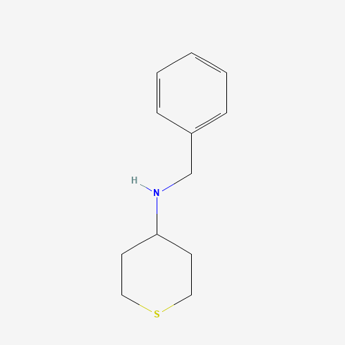N-benzylthian-4-amine (CAS: 887978-08-7) - Related Chemical Product