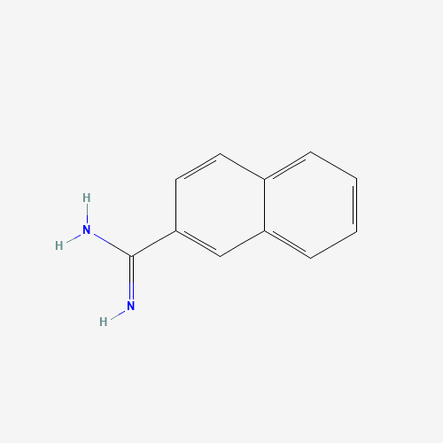 naphthalene-2-carboximidamide (CAS: 5651-14-9) - Related Chemical Product