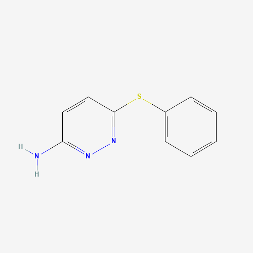 6-phenylsulfanylpyridazin-3-amine (CAS: 90844-35-2) - Related Chemical Product