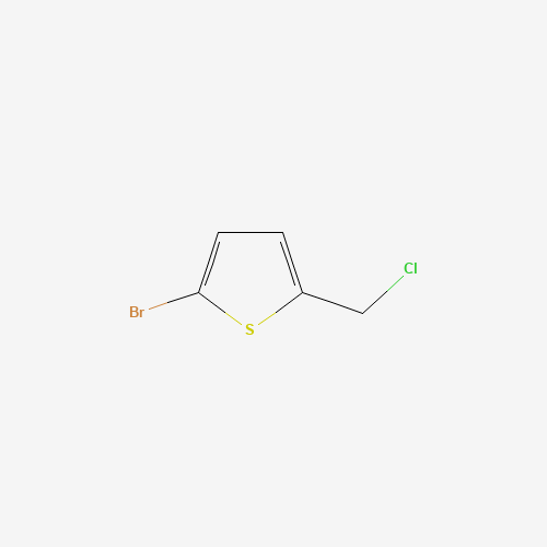 2-bromo-5-(chloromethyl)thiophene (CAS: 7311-46-8) - Related Chemical Product