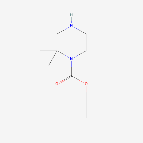 tert-butyl 2,2-dimethylpiperazine-1-carboxylate (CAS: 674792-07-5) - Related Chemical Product