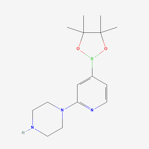 1-[4-(4,4,5,5-tetramethyl-1,3,2-dioxaborolan-2-yl)pyridin-2-yl]piperazine (CAS: 957198-31-1) - Related Chemical Product