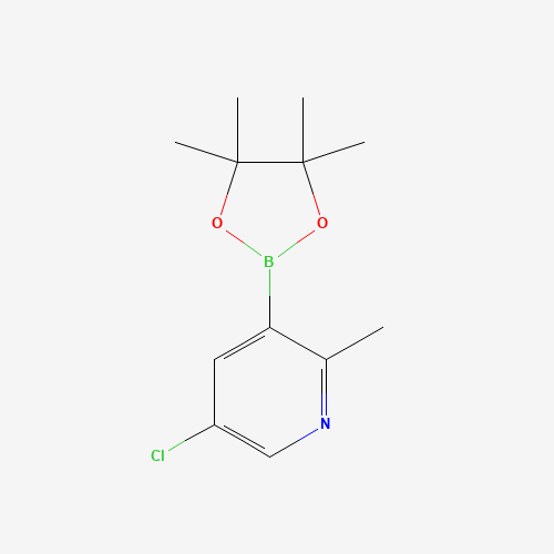 5-chloro-2-methyl-3-(4,4,5,5-tetramethyl-1,3,2-dioxaborolan-2-yl)pyridine (CAS: 1621225-24-8) - Related Chemical Product