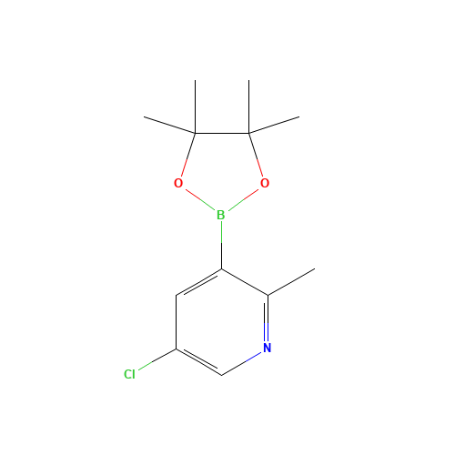 5-chloro-2-methyl-3-(4,4,5,5-tetramethyl-1,3,2-dioxaborolan-2-yl)pyridine (CAS: 1621225-24-8) - Related Chemical Product
