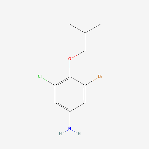 3-bromo-5-chloro-4-(2-methylpropoxy)aniline (CAS: 1426806-64-5) - Related Chemical Product
