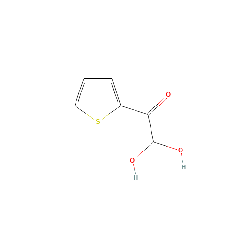2,2-dihydroxy-1-thiophen-2-ylethanone (CAS: 138380-43-5) - Related Chemical Product