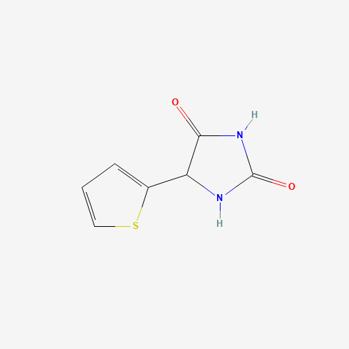 5-thiophen-2-ylimidazolidine-2,4-dione (CAS: 74126-04-8) - Related Chemical Product