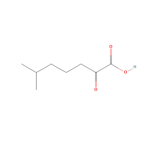 6-methyl-2-oxoheptanoic acid (CAS: 76390-95-9) - Related Chemical Product