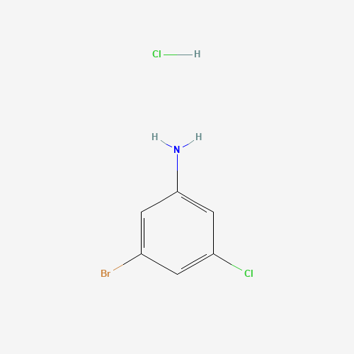 3-bromo-5-chloroaniline;hydrochloride (CAS: 1426806-77-0) - Related Chemical Product