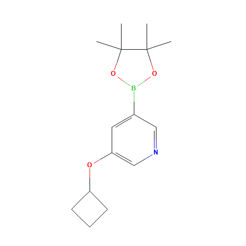 3-cyclobutyloxy-5-(4,4,5,5-tetramethyl-1,3,2-dioxaborolan-2-yl)pyridine (CAS: 1257553-86-8) - Related Chemical Product