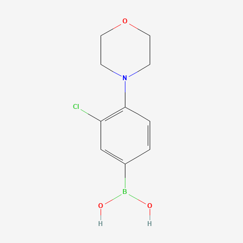 (3-chloro-4-morpholin-4-ylphenyl)boronic acid (CAS: 1426246-59-4) - Related Chemical Product