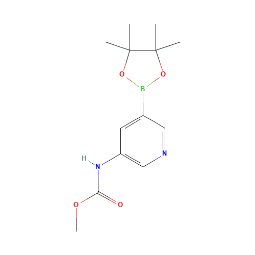 methyl N-[5-(4,4,5,5-tetramethyl-1,3,2-dioxaborolan-2-yl)pyridin-3-yl]carbamate (CAS: 1430401-05-0) - Related Chemical Product