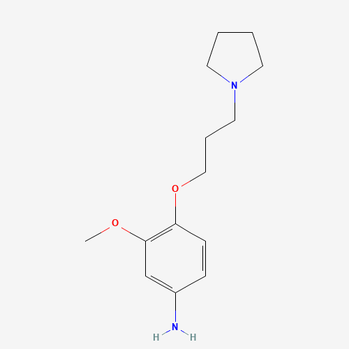 3-methoxy-4-(3-pyrrolidin-1-ylpropoxy)aniline (CAS: 515879-68-2) - Chemical Structure and Molecular Formula 