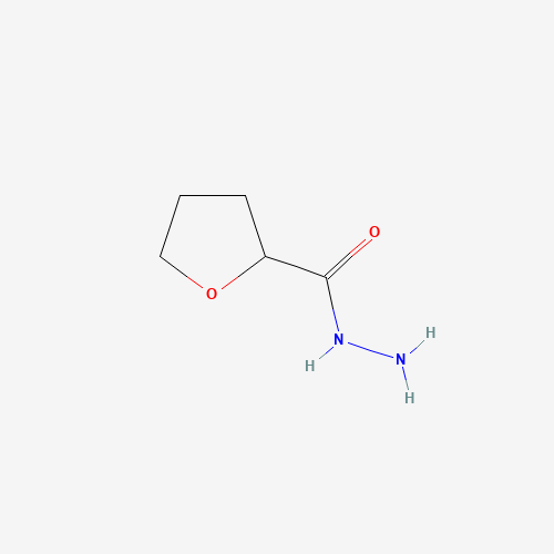 oxolane-2-carbohydrazide (CAS: 59293-11-7) - Related Chemical Product