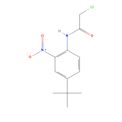 N-(4-tert-butyl-2-nitrophenyl)-2-chloroacetamide (CAS: 680213-46-1) - Chemical Structure and Molecular Formula 