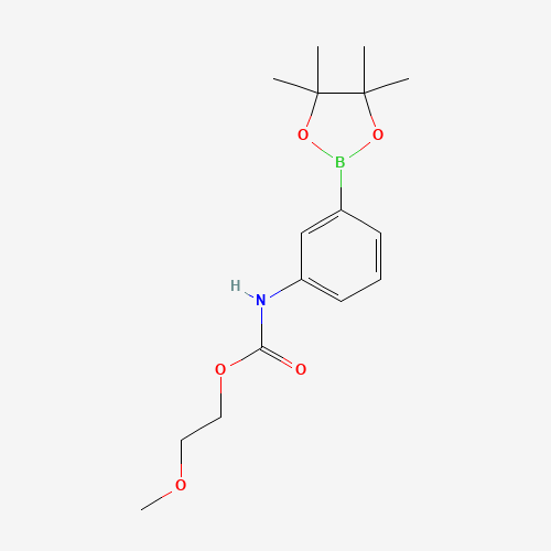 2-methoxyethyl N-[3-(4,4,5,5-tetramethyl-1,3,2-dioxaborolan-2-yl)phenyl]carbamate (CAS: 1314389-84-8) - Related Chemical Product