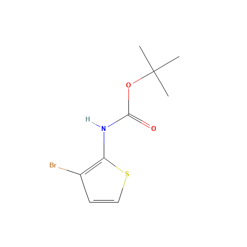 tert-butyl N-(3-bromothiophen-2-yl)carbamate (CAS: 85069-60-9) - Related Chemical Product