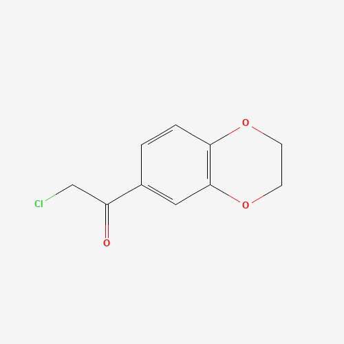 2-chloro-1-(2,3-dihydro-1,4-benzodioxin-6-yl)ethanone (CAS: 93439-37-3) - Related Chemical Product