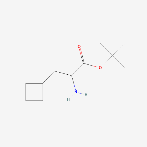 tert-butyl 2-amino-3-cyclobutylpropanoate (CAS: 313979-47-4) - Related Chemical Product