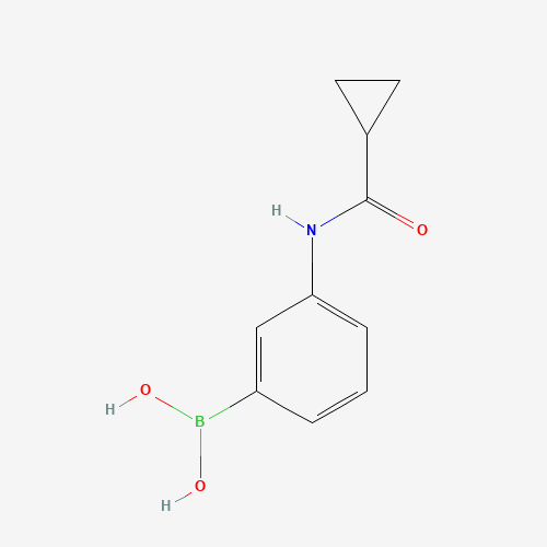 [3-(cyclopropanecarbonylamino)phenyl]boronic acid (CAS: 934543-06-3) - Related Chemical Product