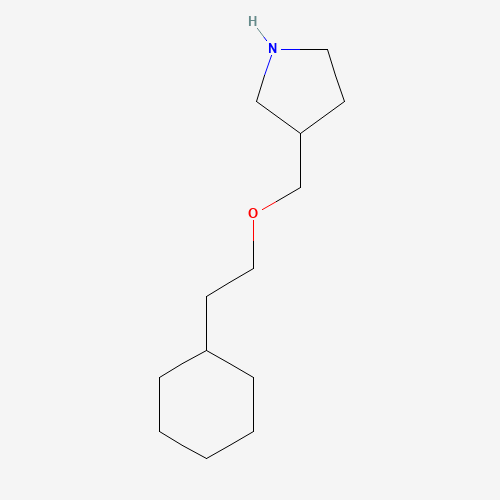 3-(2-cyclohexylethoxymethyl)pyrrolidine (CAS: 954220-61-2) - Related Chemical Product