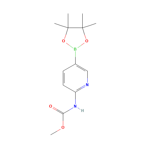methyl N-[5-(4,4,5,5-tetramethyl-1,3,2-dioxaborolan-2-yl)pyridin-2-yl]carbamate (CAS: 1073372-02-7) - Related Chemical Product