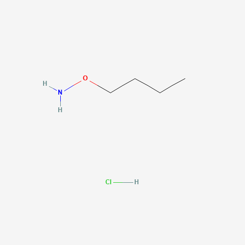O-butylhydroxylamine;hydrochloride (CAS: 4490-82-8) - Related Chemical Product