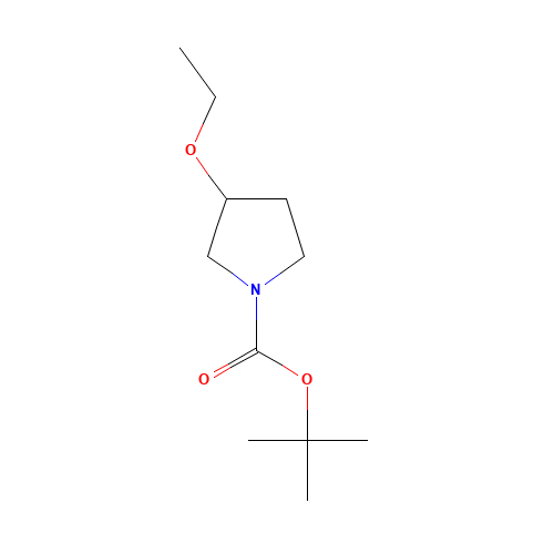 tert-butyl 3-ethoxypyrrolidine-1-carboxylate (CAS: 207746-96-1) - Related Chemical Product