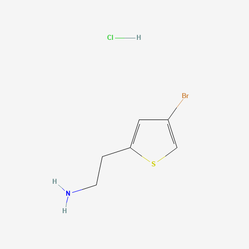 2-(4-bromothiophen-2-yl)ethanamine;hydrochloride (CAS: 1172469-40-7) - Related Chemical Product