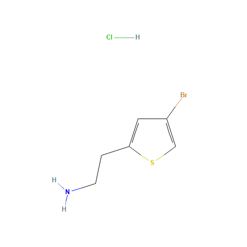 2-(4-bromothiophen-2-yl)ethanamine;hydrochloride (CAS: 1172469-40-7) - Related Chemical Product