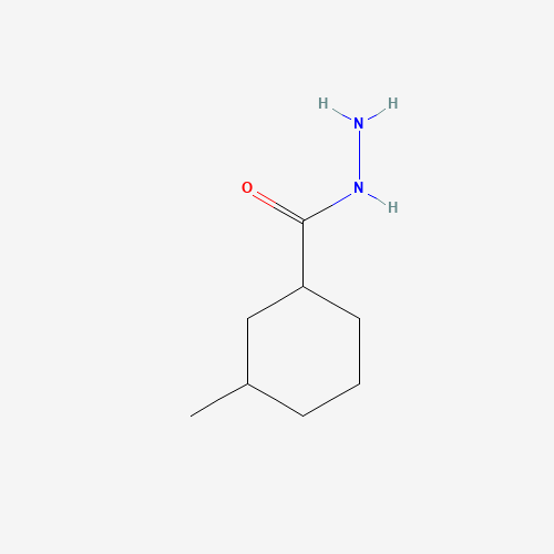 3-methylcyclohexane-1-carbohydrazide (CAS: 1016557-63-3) - Related Chemical Product