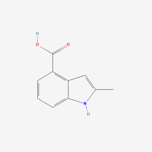 2-methyl-1H-indole-4-carboxylic acid (CAS: 34058-50-9) - Related Chemical Product