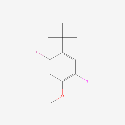 1-tert-butyl-2-fluoro-5-iodo-4-methoxybenzene (CAS: 944317-23-1) - Related Chemical Product
