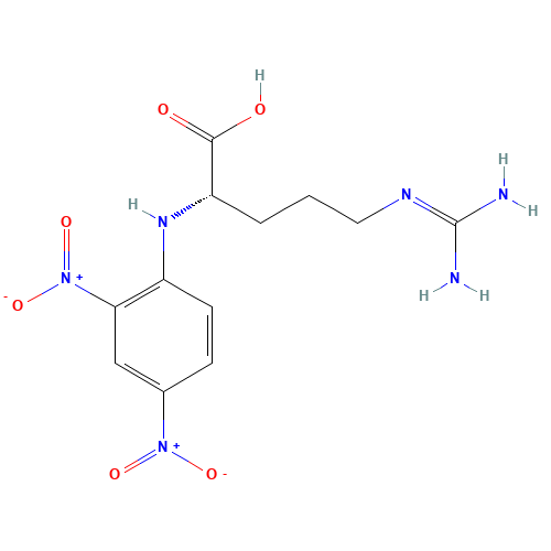 (2S)-5-(diaminomethylideneamino)-2-(2,4-dinitroanilino)pentanoic acid (CAS: 1602-42-2) - Related Chemical Product