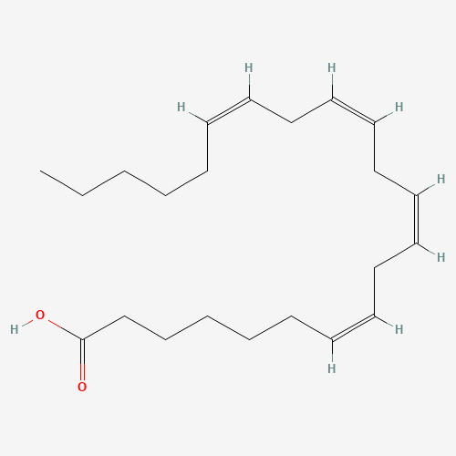 (7Z,10Z,13Z,16Z)-docosa-7,10,13,16-tetraenoic acid (CAS: 28874-58-0) - Related Chemical Product