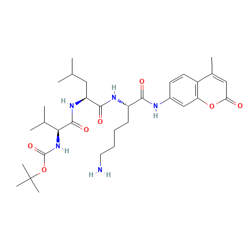 tert-butyl N-[(2S)-1-[[(2S)-1-[[(2S)-6-amino-1-[(4-methyl-2-oxochromen-7-yl)amino]-1-oxohexan-2-yl]amino]-4-methyl-1-oxopentan-2-yl]amino]-3-methyl-1-oxobutan-2-yl]carbamate (CAS: 73554-84-4) - Related Chemical Product